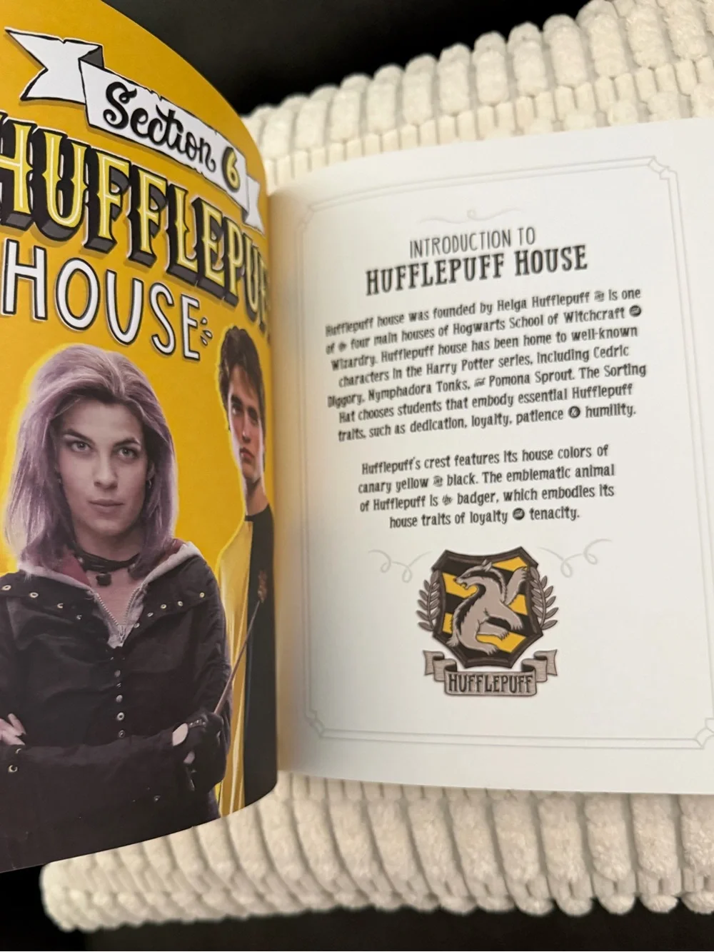NEW Harry Potter Hand Lettering Book!! - Picture 3 of 5